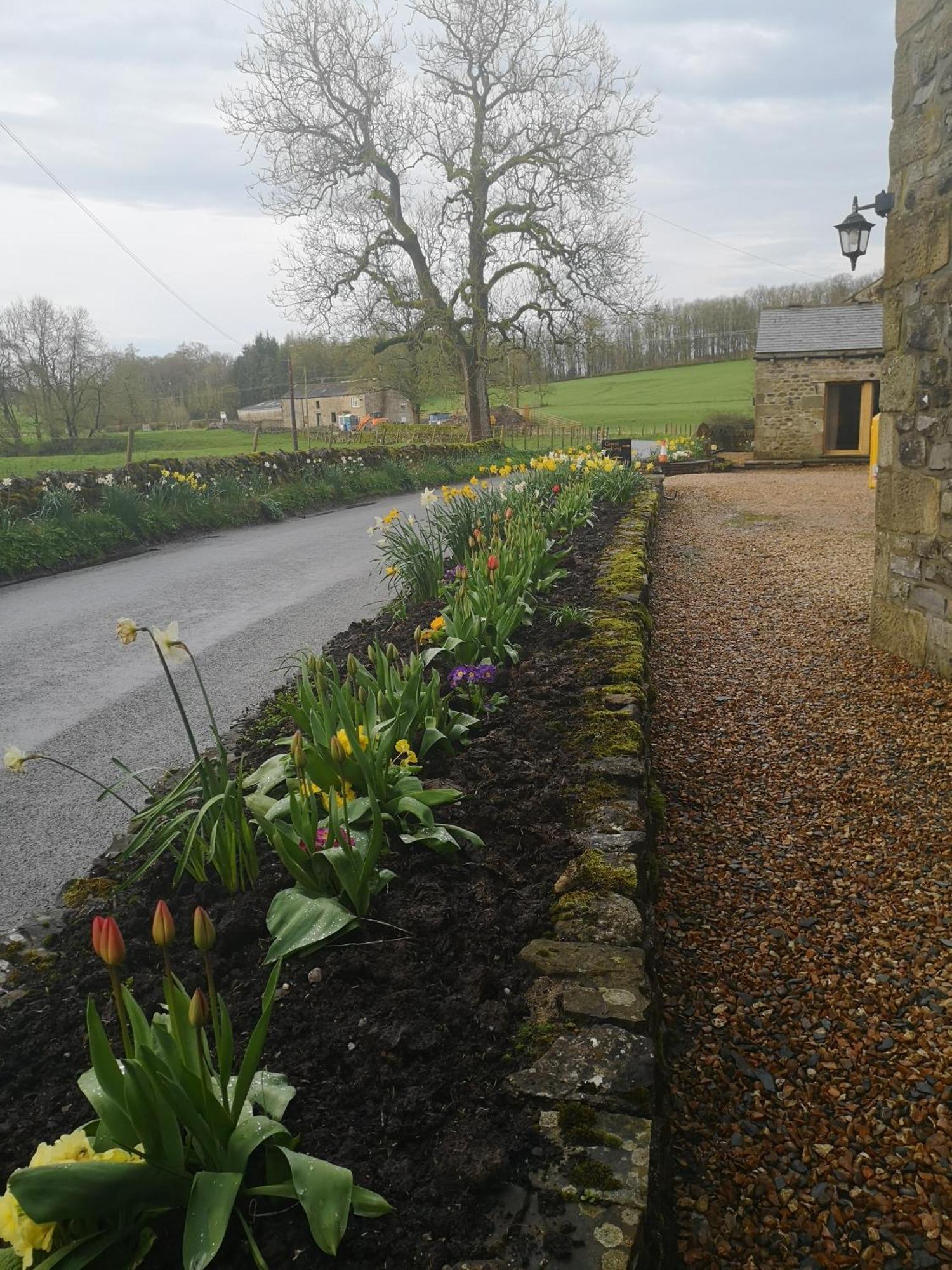 Green Grove Country House Malham Extérieur photo