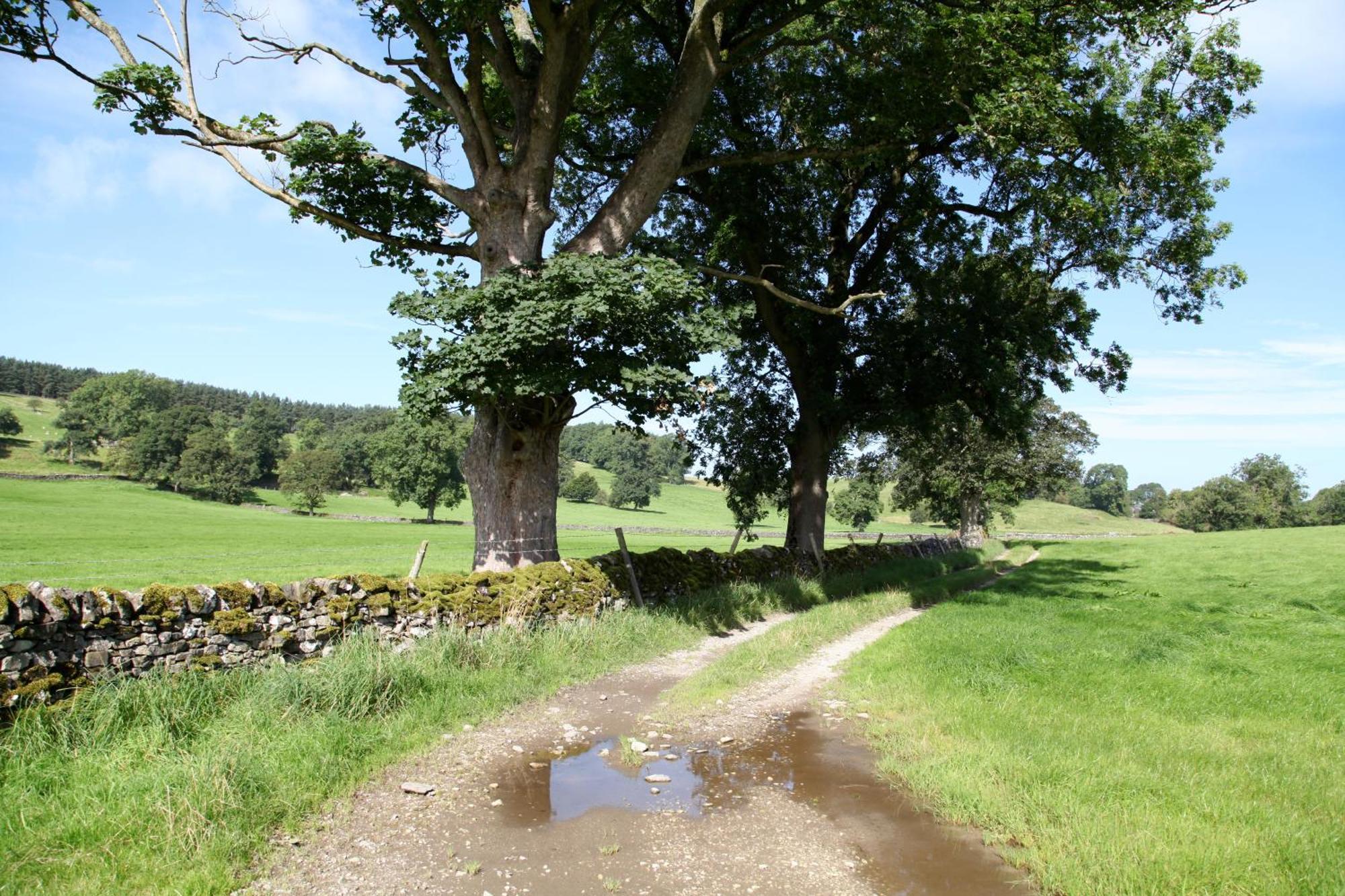 Green Grove Country House Malham Extérieur photo