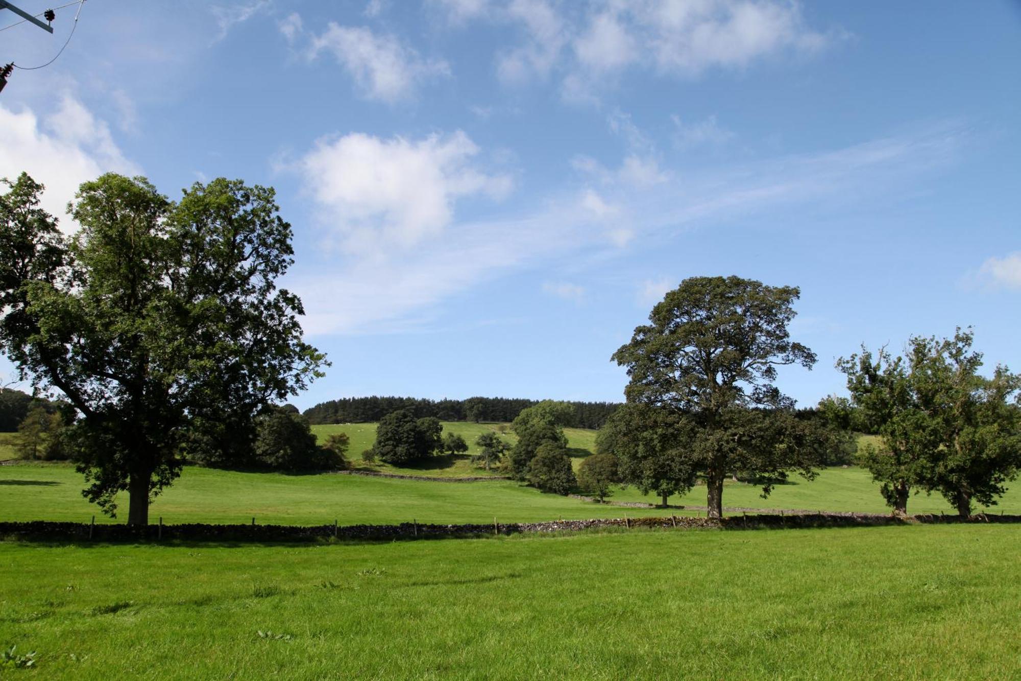 Green Grove Country House Malham Extérieur photo