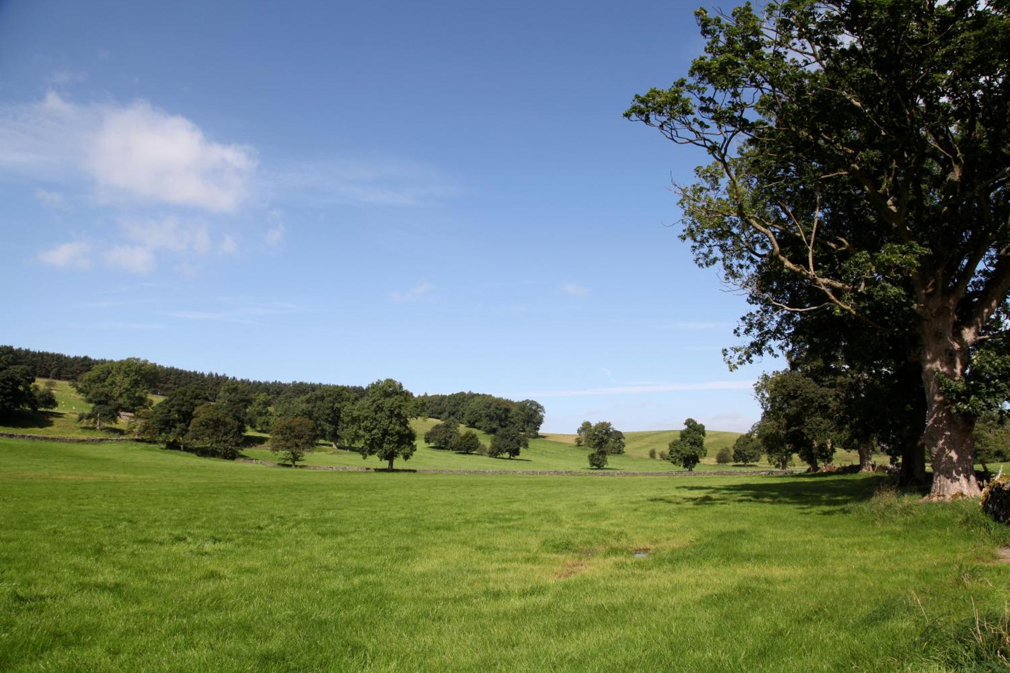 Green Grove Country House Malham Extérieur photo